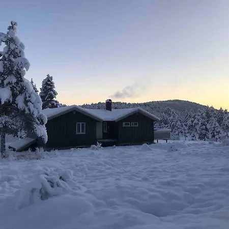 Frittliggende I Flott Turterreng