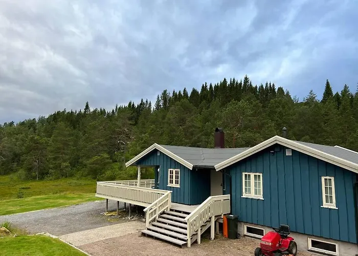 Frittliggende I Flott Turterreng 別荘