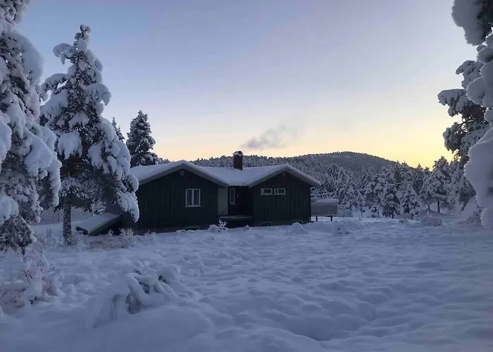 Frittliggende I Flott Turterreng