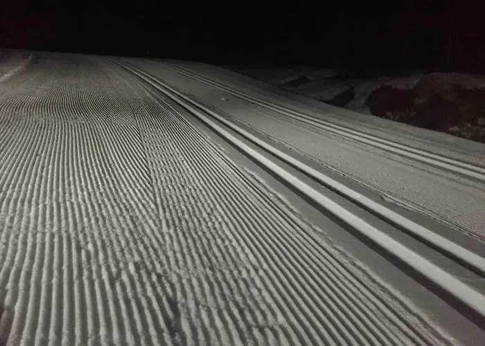 Frittliggende I Flott Turterreng モルデ