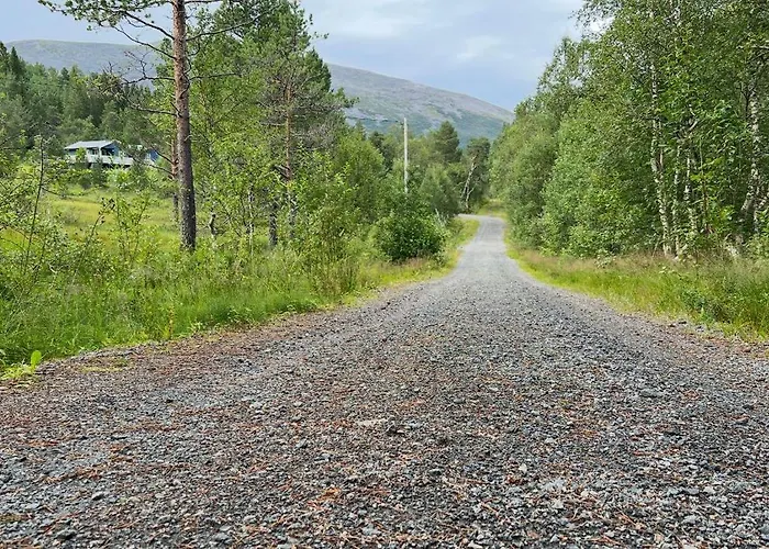 Frittliggende I Flott Turterreng 別荘 *